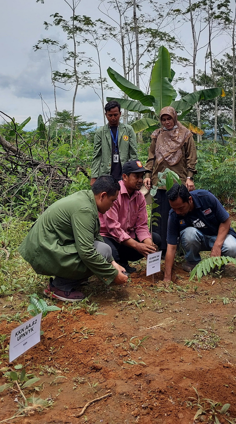 KKN UPN Veteran Yogyakarta dan PT Pamapersada Nusantara Bersinergi Menanam 1000 Pohon di Kampung Proklim Kawista